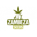 Zambeza Seeds