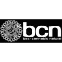 BCN seeds ( Best Cannabis Natural )