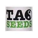 Tao Seeds