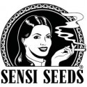 Sensi Seeds