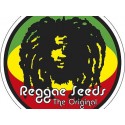 Reggae Seeds