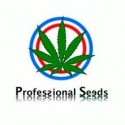 Professional Seeds