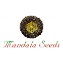 Mandala Seeds