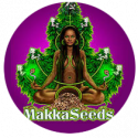 Makka Seeds