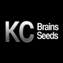 K.C.Brains