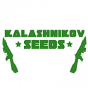 Kalashnikov seeds