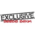 Exclusive Seeds