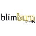 Blim Burn